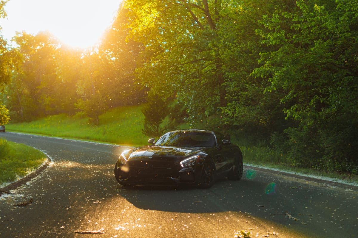 AMG GT on a forest road